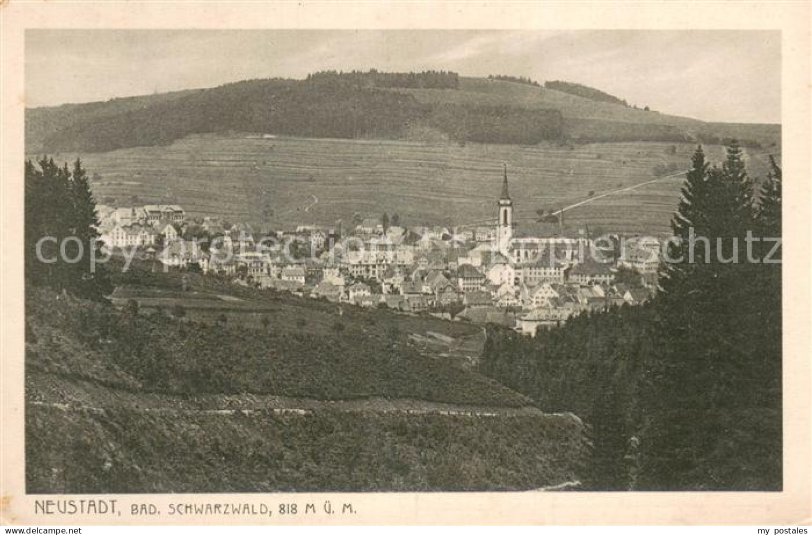 Neustadt  Schwarzwald Titisee-Neustadt Panorama