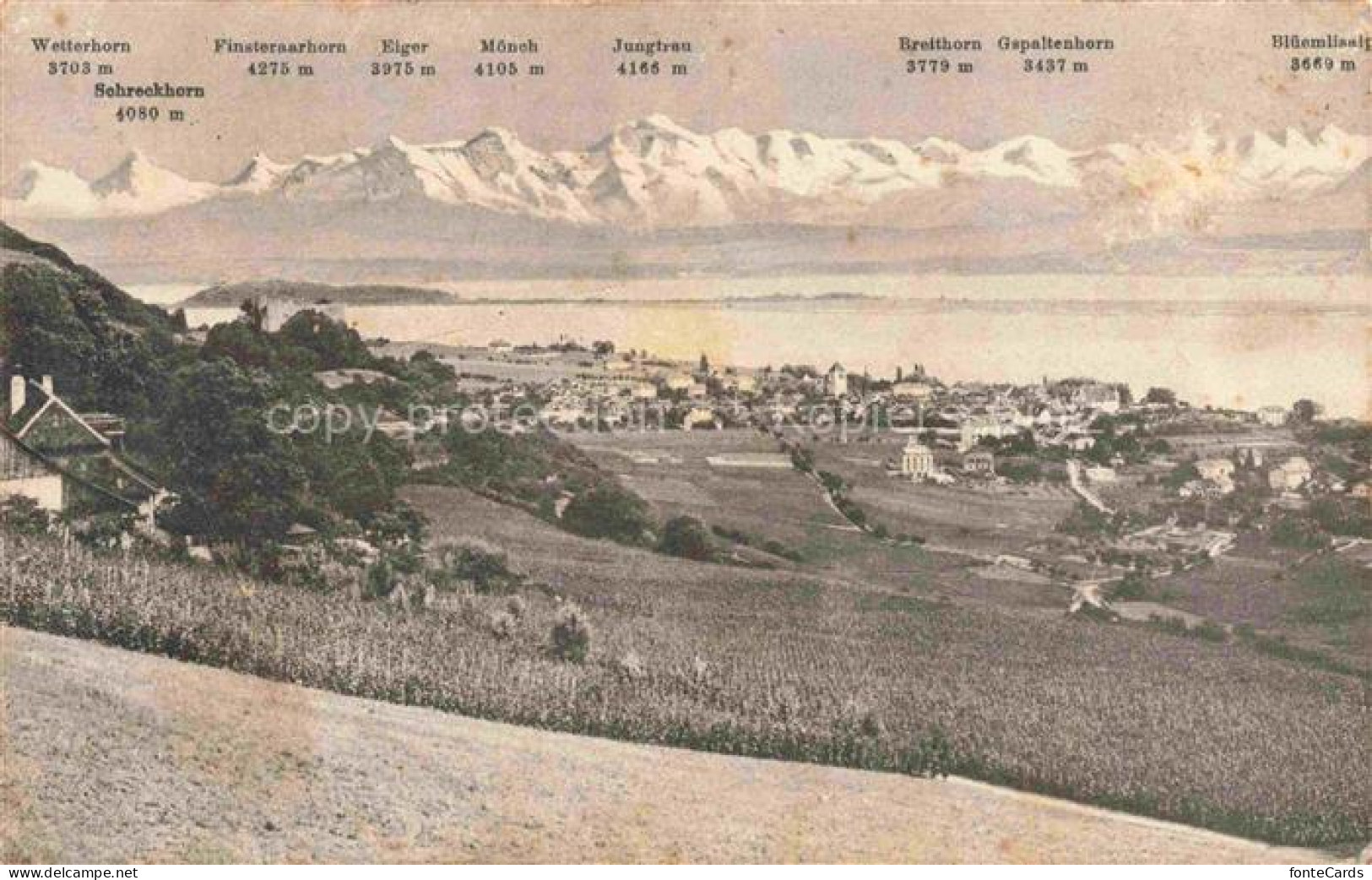 Neuveville La Neuenstadt Bielersee Preles BE Panorama Bielersee Alpenkette