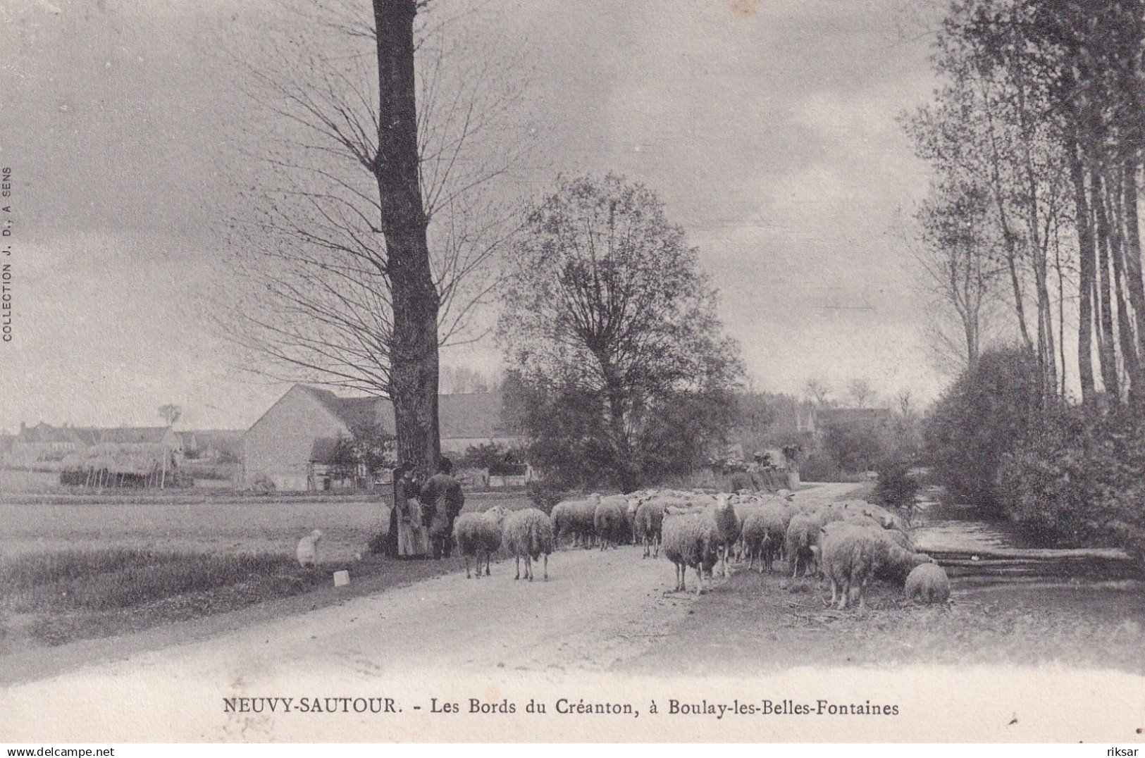 NEUVY SAUTOUR(BERGER) MOUTON