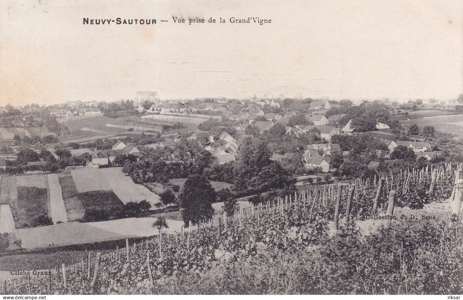 NEUVY SAUTOUR(VIGNOBLE) VIN