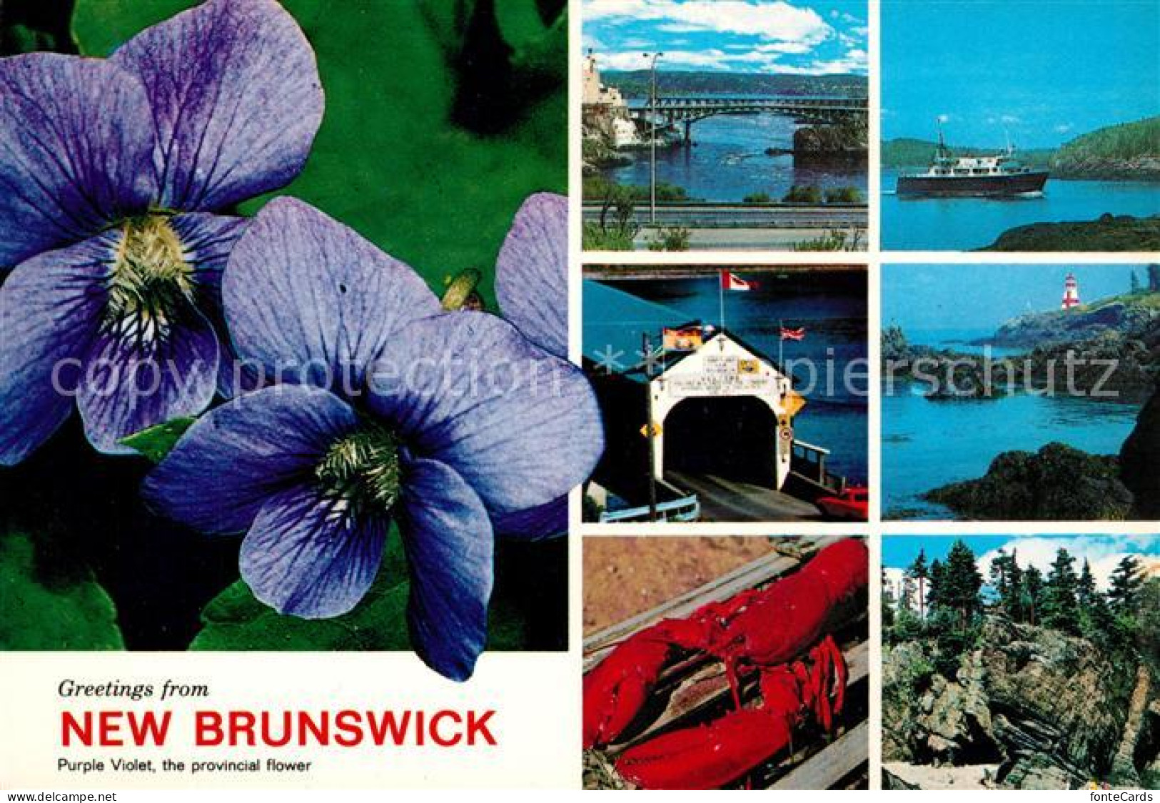 New Brunswick Nouveau Brunswick ---