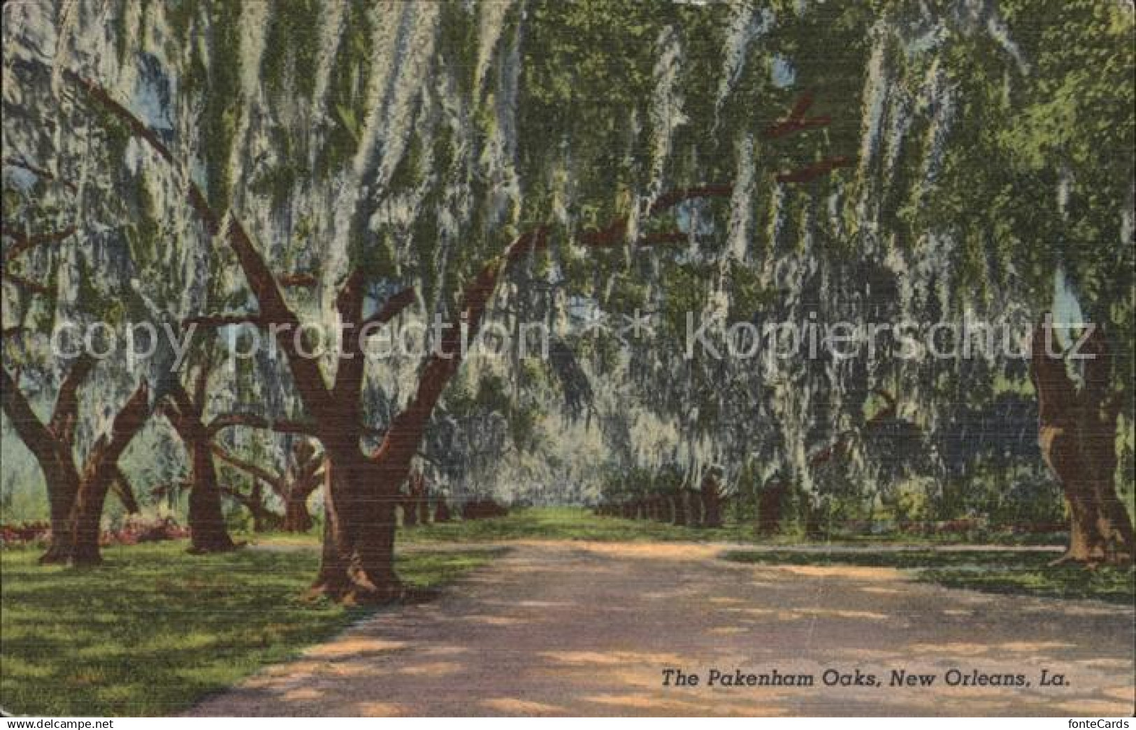 New Orleans Louisiana Pakenham Oaks