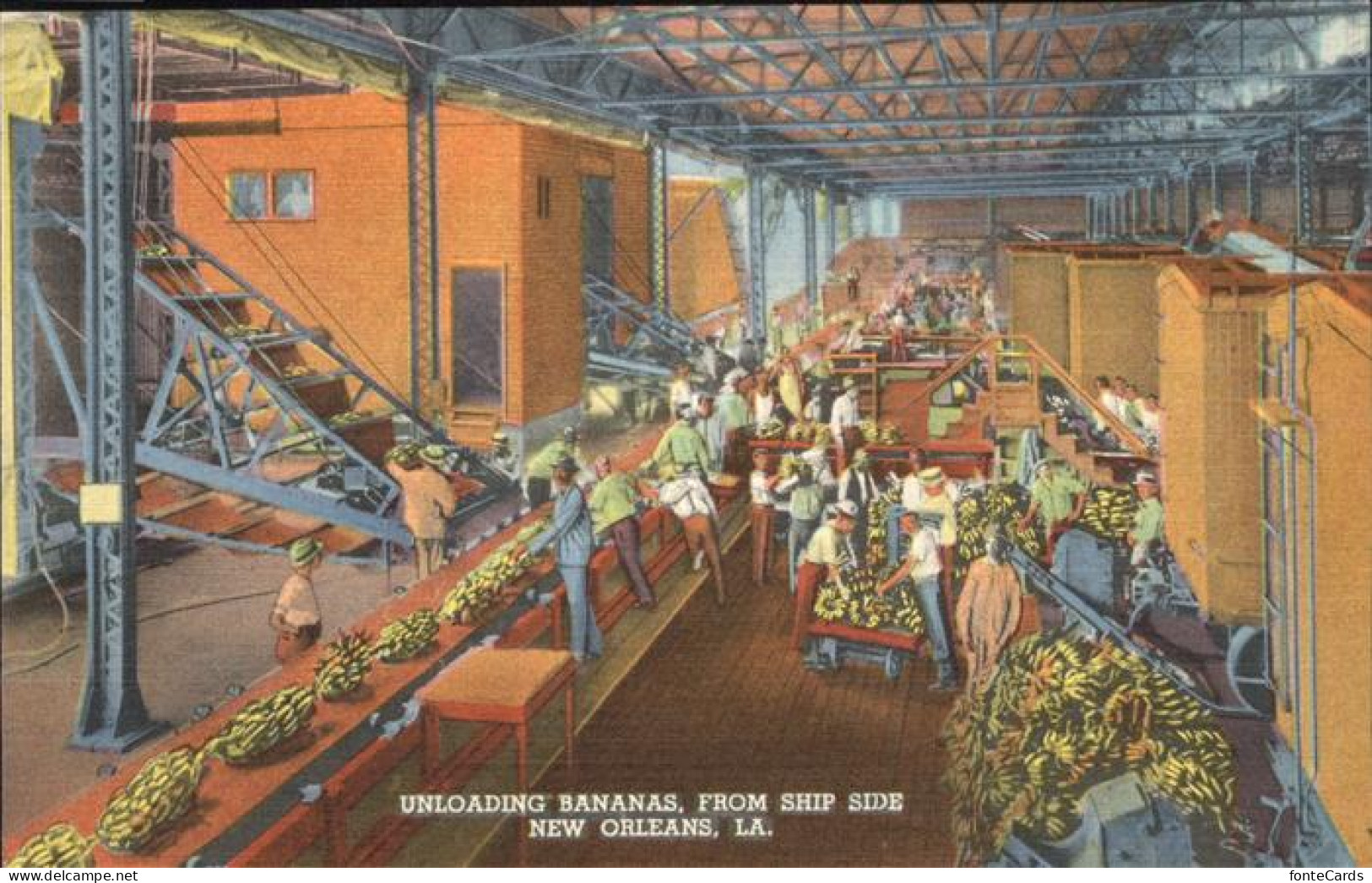 New Orleans Louisiana Unloading Bananas