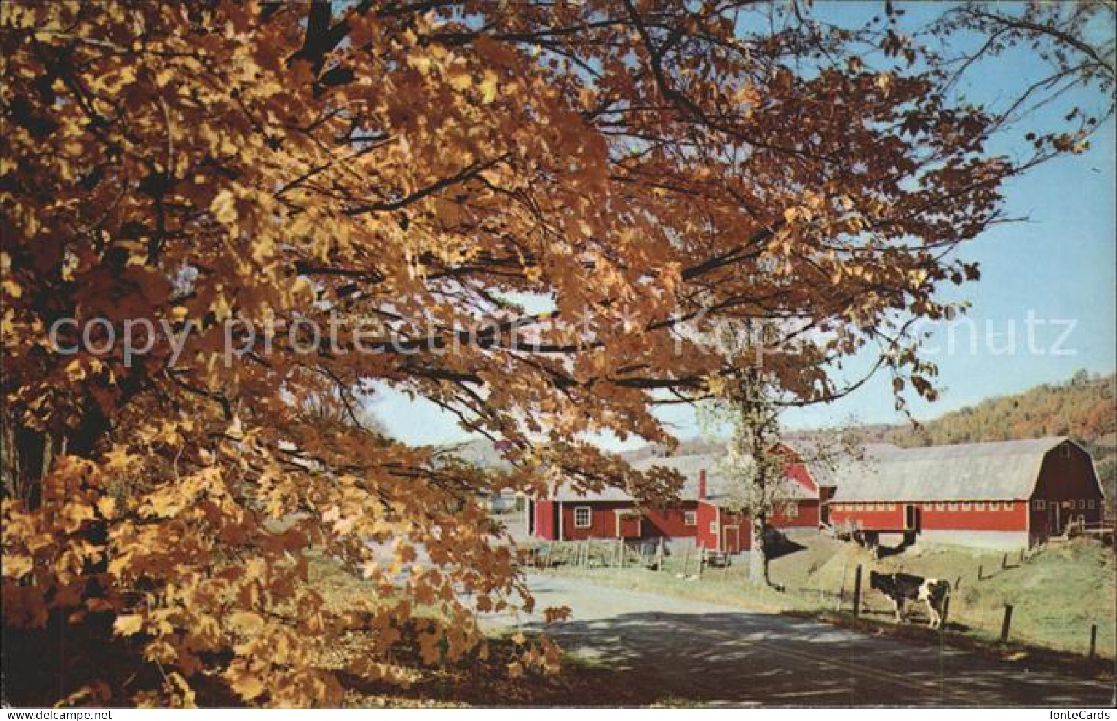 New Wilmington Farm automn