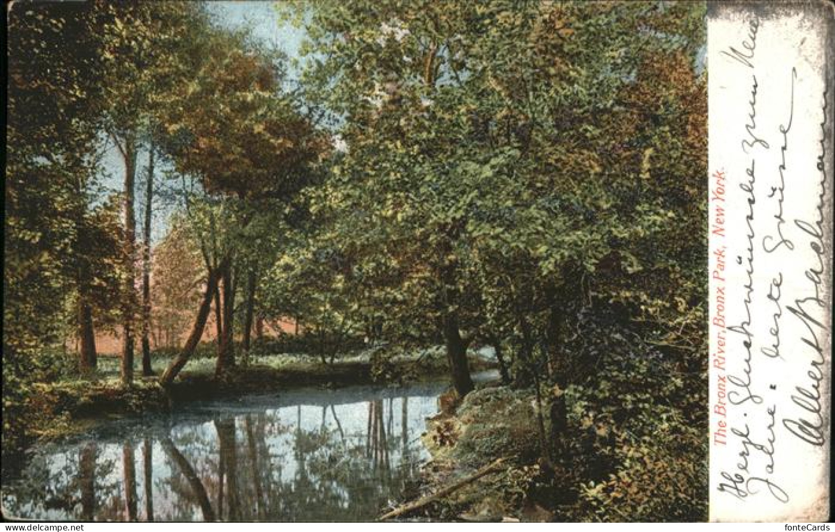 New York City Bronx Park