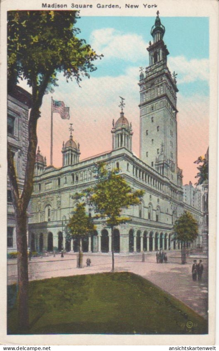 New York Madison Square Garden ngl #204.556