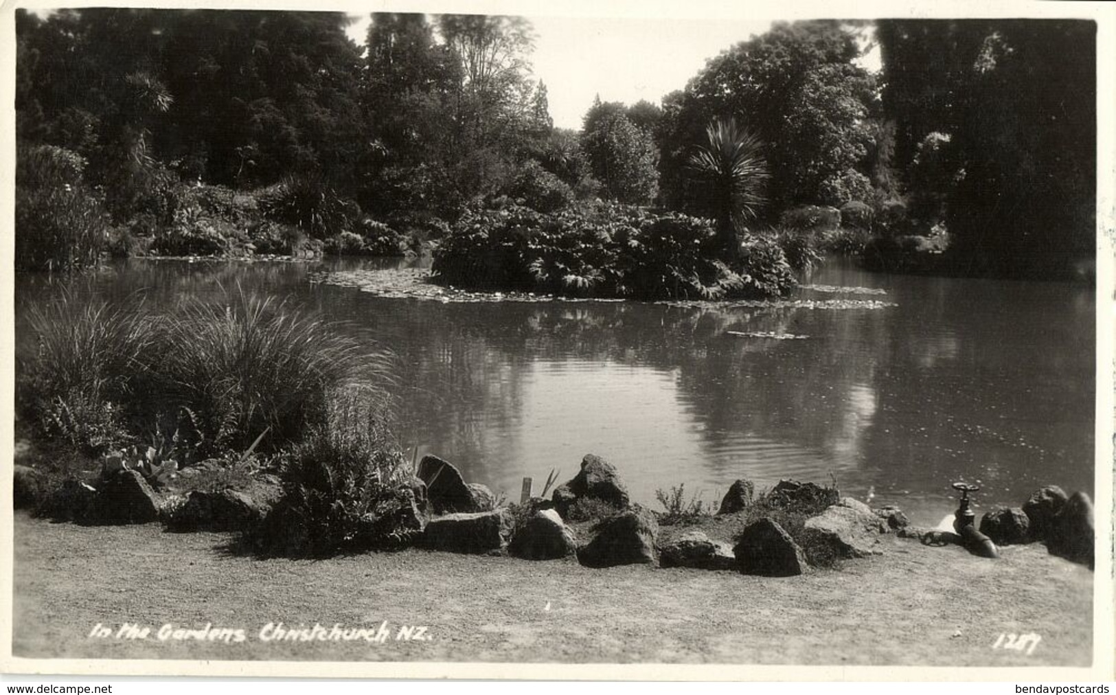 new zealand, CHRISTCHURCH, In the Gardens (1950s) RPPC