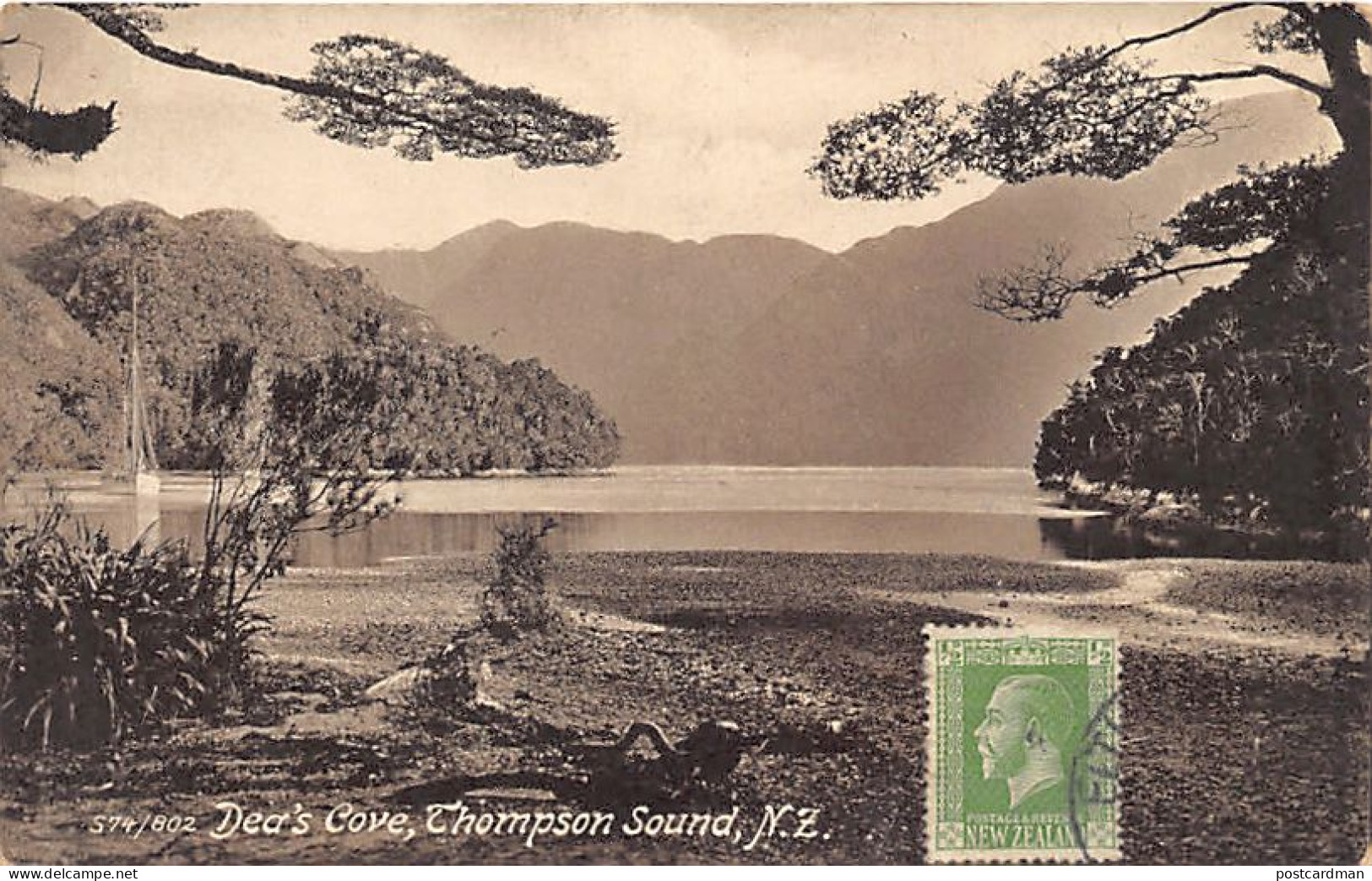 New-Zealand - Dea's Cove, Thompson Sound - Publ. Tanner Bros.