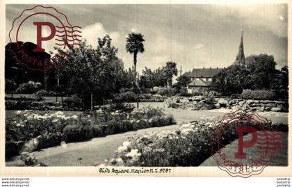 NUEVA ZELANDA // NEW ZEALAND. CLIVE SQUARE NAPIER