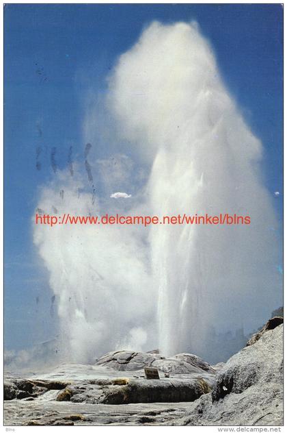 Pohutu Geyser - Rotorua - New Zealand