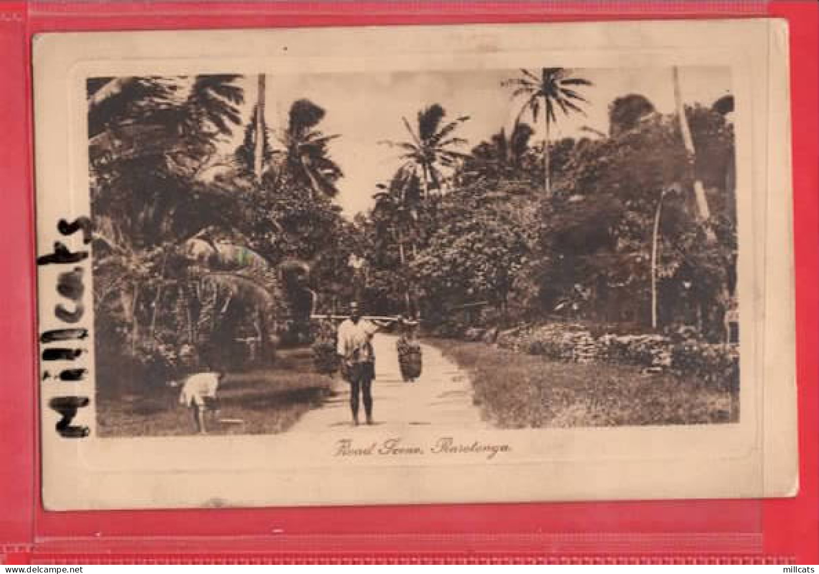 NEW ZELAND COOK ISLANDS  RAROTONGA    ROAD SCENE ETHNIC