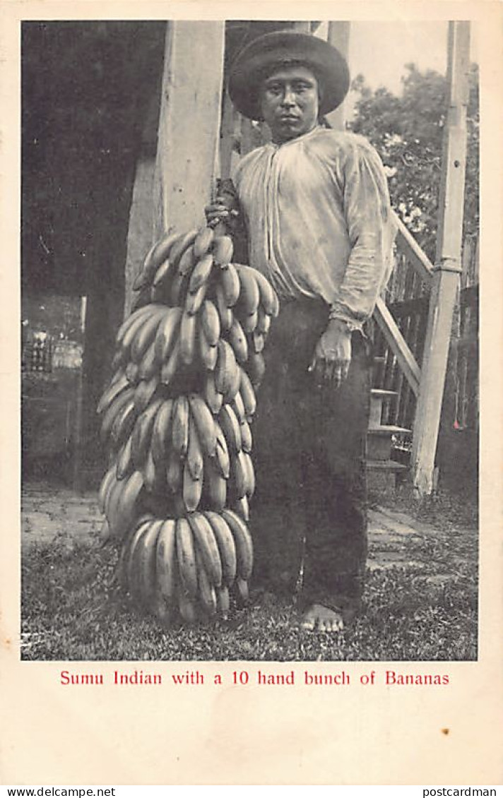 Nicaragua - Sumu Indian with a 10 hand bunch of Bananas - Publ. Stern and Schiele.