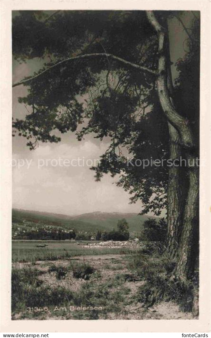 Nidau Bielersee Lac de Bienne BE Partie am Bielersee