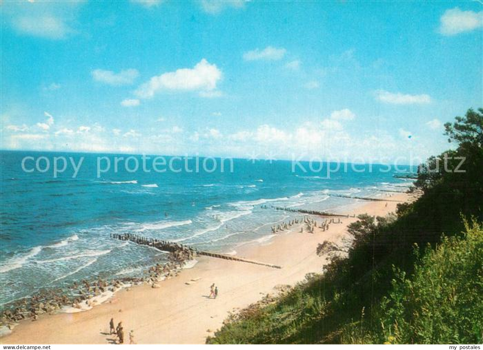 Niechorze Horst Brzeg morski Strand