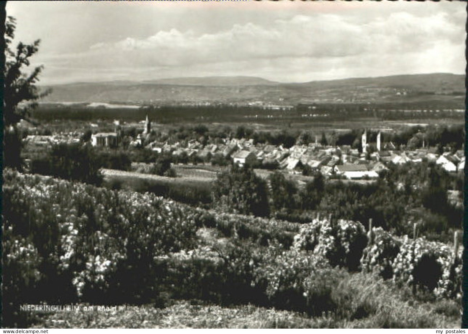 Nieder-Ingelheim Niederingelheim a. Rhein