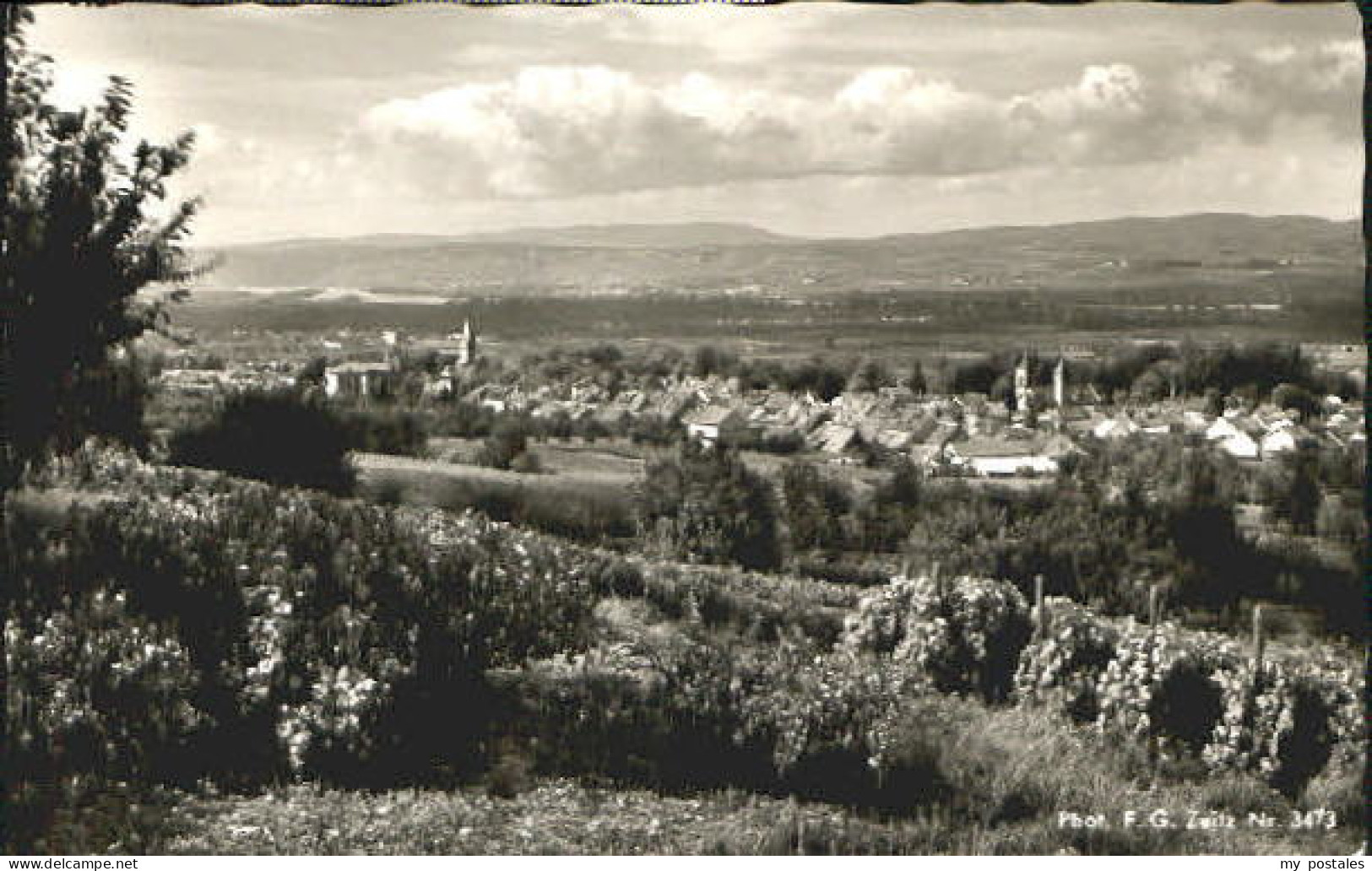 Nieder-Ingelheim Niederingelheim  x 1955