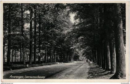 CPA Carte Postale Pays-Bas   Amerongen Leersumscheweg 1911 VM109512