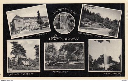 AK 1956 Groeten uit Apeldoorn - gelaufen