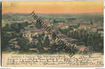 Apeldoorn - Vogelflucht - Verlag A. F. van Wieringen Apeldoorn - gel. 1906