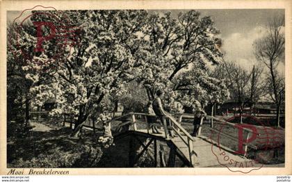 Mooi Breukelerveen Kinderen op de houten brug Voorjaar Spring Breukelen Utrecht HOLLAND HOLANDA NETHERLANDS
