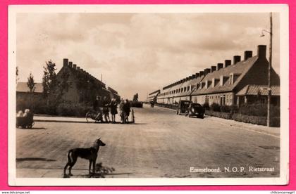 Carte Photo - Emmeloord - N.O.P. Rietstraat - Vieilles Voitures - Poussette - Animée - ECHTE FOTO