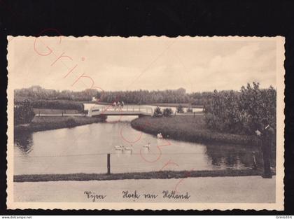 Hoek van Holland - Vijver - postkaart