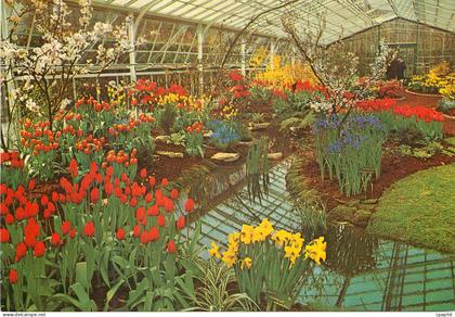CPM Keukenhof Lisse Holland