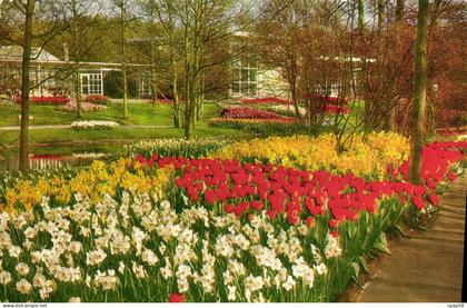 CPM Keukenhof Lisse Holland