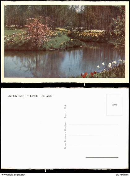Postkaart Lisse Blumen KEUKENHOF LISSE-HOLLAND 1960