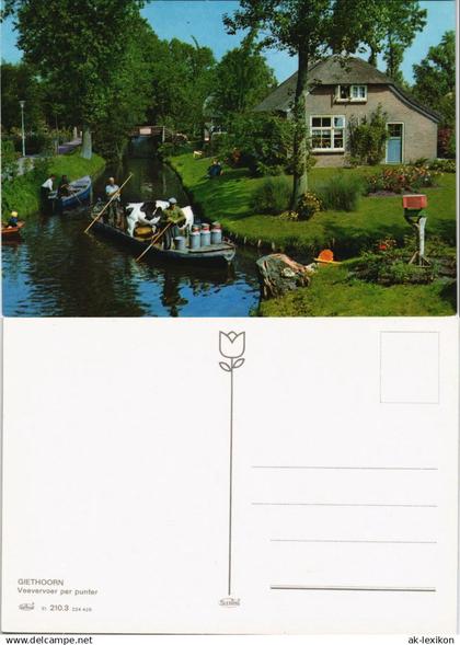 Postkaart Giethoorn-Steenwijkerland Giethoorn Veevervoer per punter 1980