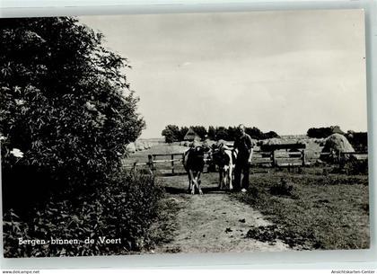 11035748 - Bergen Bergen (NH.)
