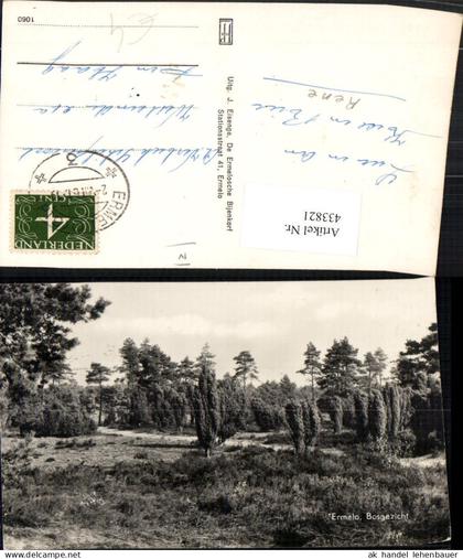 433821,Netherlands Ermelo Bosgezicht Landschaft