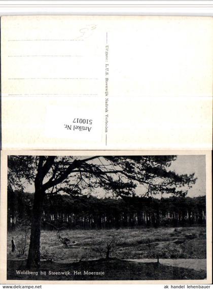 510017,Netherlands Woldberg bij Steenwijk Het Moerasje Landschaft