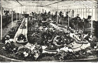 Aalsmeer Minicorso