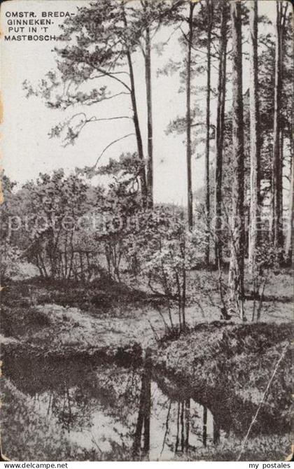 Breda Noord-Brabant Mastbosch