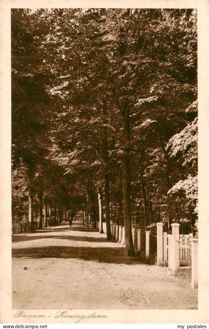 Bussum NL Koningslaan