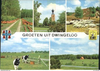 Dwingeloo Kirche Kuehe Schafe