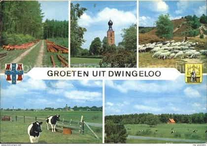 Dwingeloo Waldpartie Kirche Schafe Kuehe Landschaft