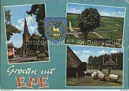 Epe Gelderland Kirche Schafe Teilansicht