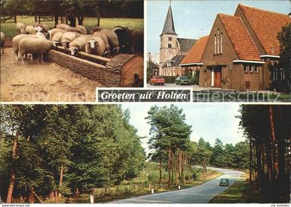 Holten Rijssen Schapen omgeving Harlerberg Kerk en gebouw Irene Toeristenweg Hol