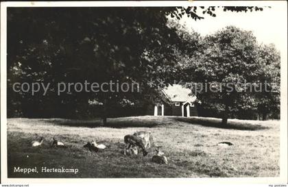 Meppel Hertenkamp Tiergehege