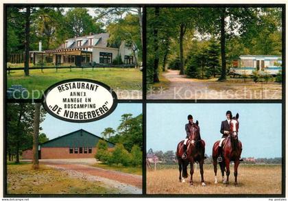 Norg Cafe Restaurant Manege Camping De Norgerberg Campingplatz Reiten