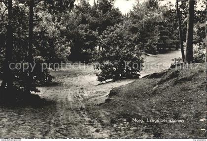 Norg Langeloer duinen