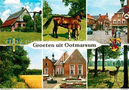Ootmarsum Teilansichten Alte Haeuse Bauernhof Landschaftspanorama Wild Hirsch Pf