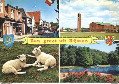 Rijssen mit Schafen