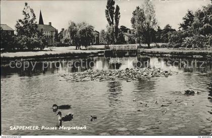 Sappemeer Prinses Margrietpark Ententeich
