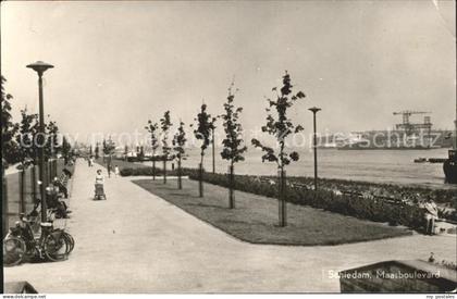 Schiedam Maasboulevard
