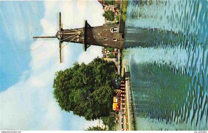 SCHIEDAM NL Korenmolen De Walvisch