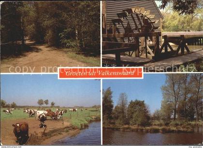 Valkenswaard Kuehe Wasserrad