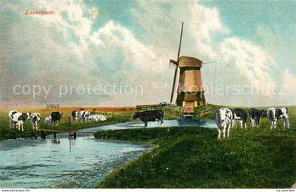 Zaanstreek Wasserstrasse Kuehe Weide Windmuehle
